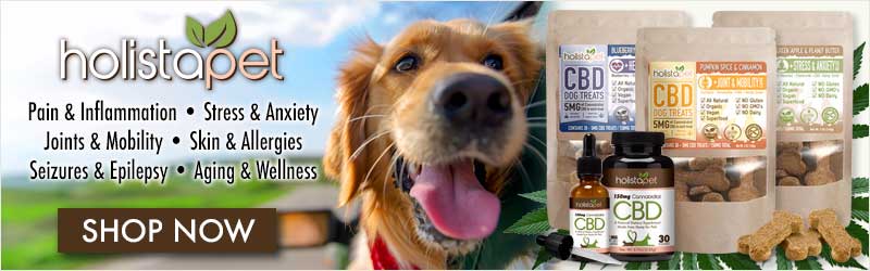 best cbd treats for aggressive dogs