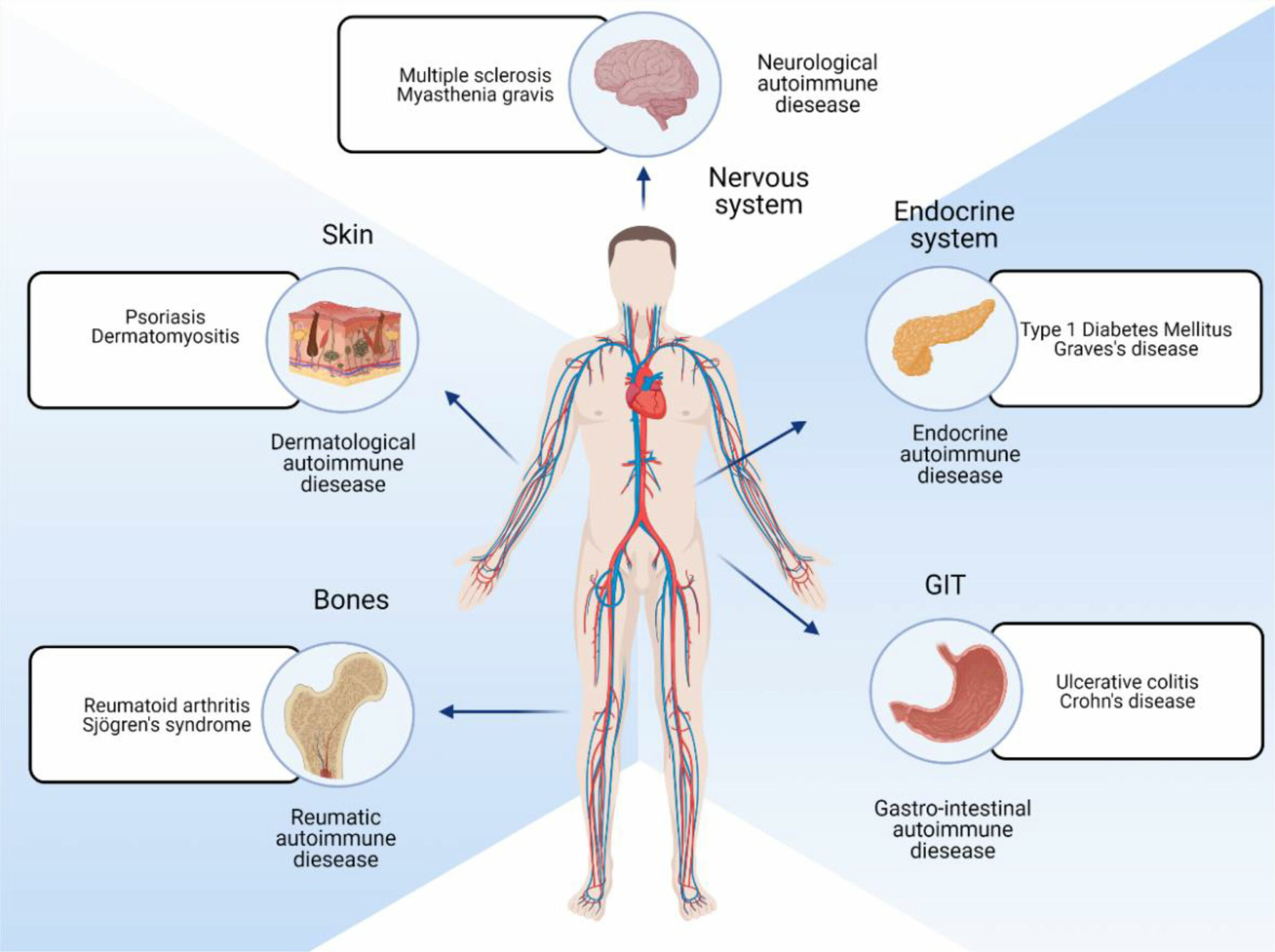 CBD For Autoimmune Diseases